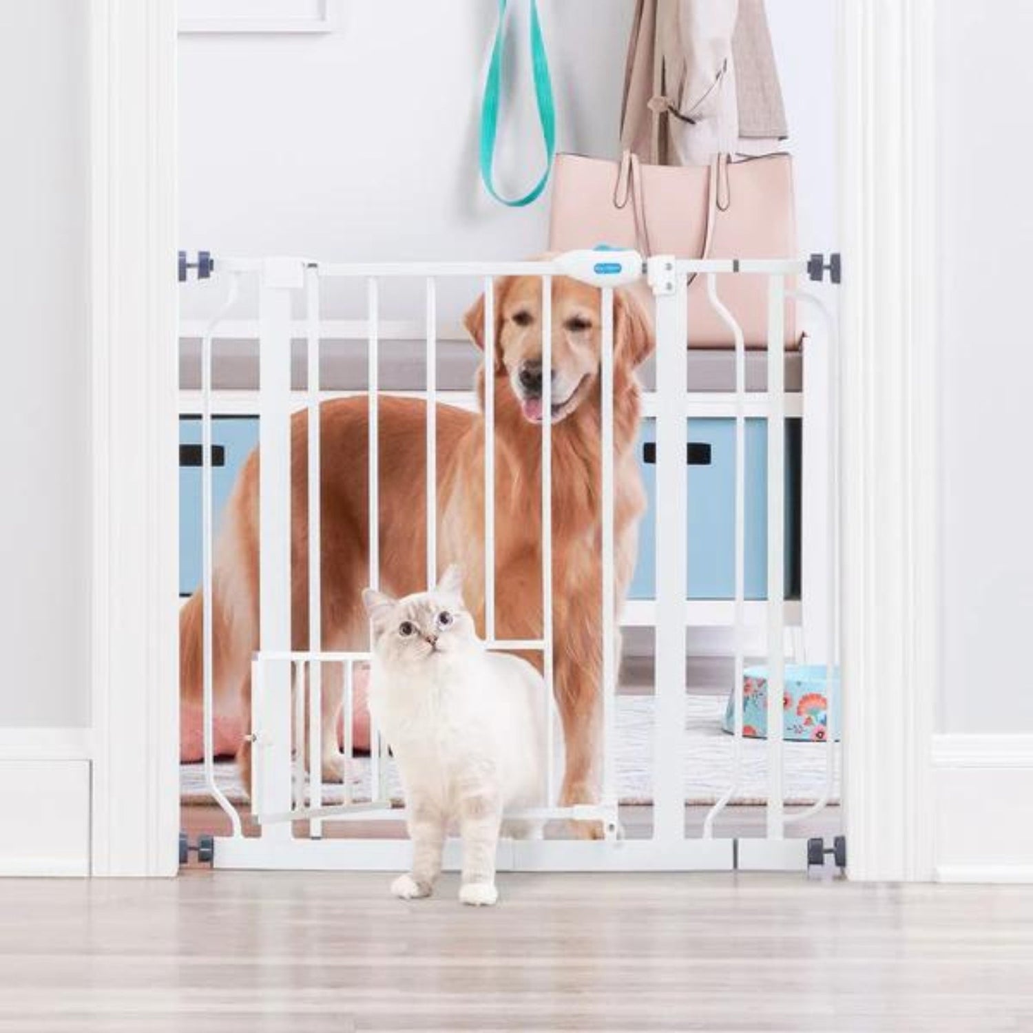 Carlson Extra Wide Pet Gate with Small Pet Door White 29-39 X 30in.