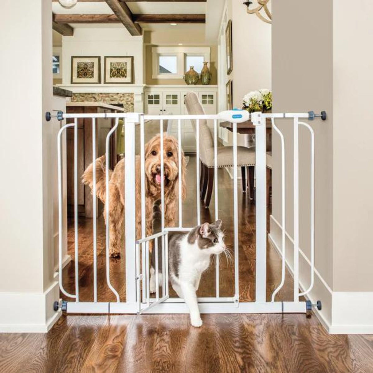 Carlson Extra Wide Pet Gate with Slide Handle White 29-51 X 30in.