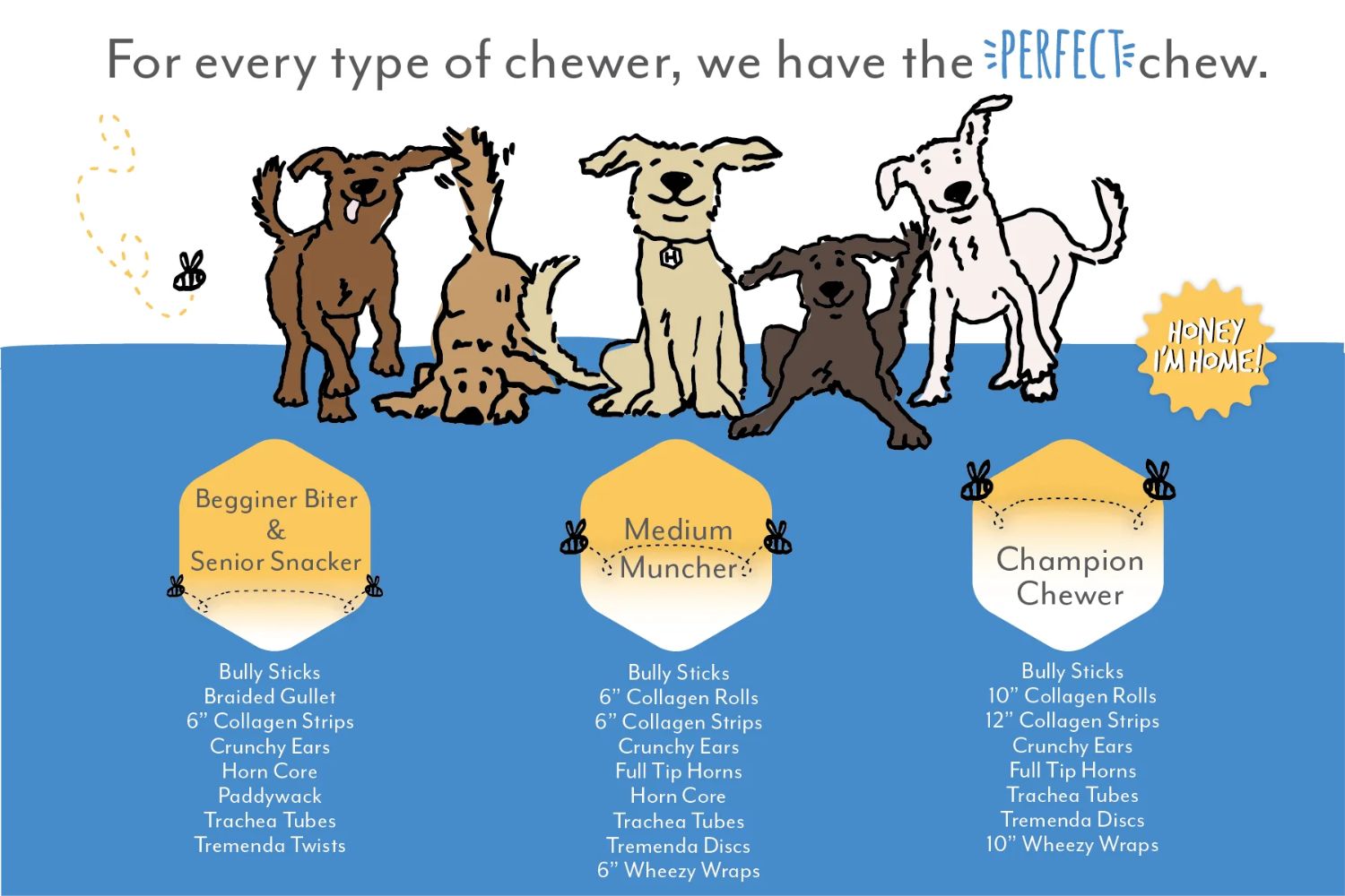 Water Buffalo Tremenda Discs