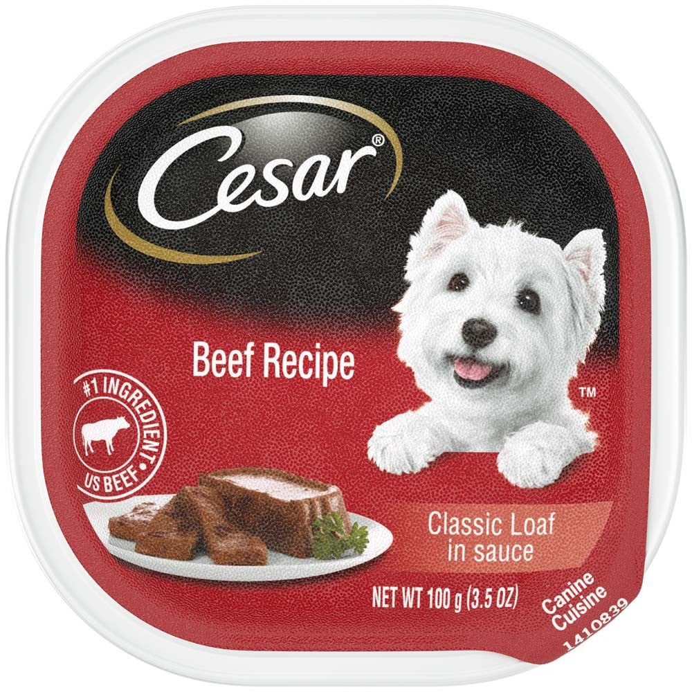 Cesar Classic Loaf in Sauce Adult Wet Dog Food Beef (Case of 24)