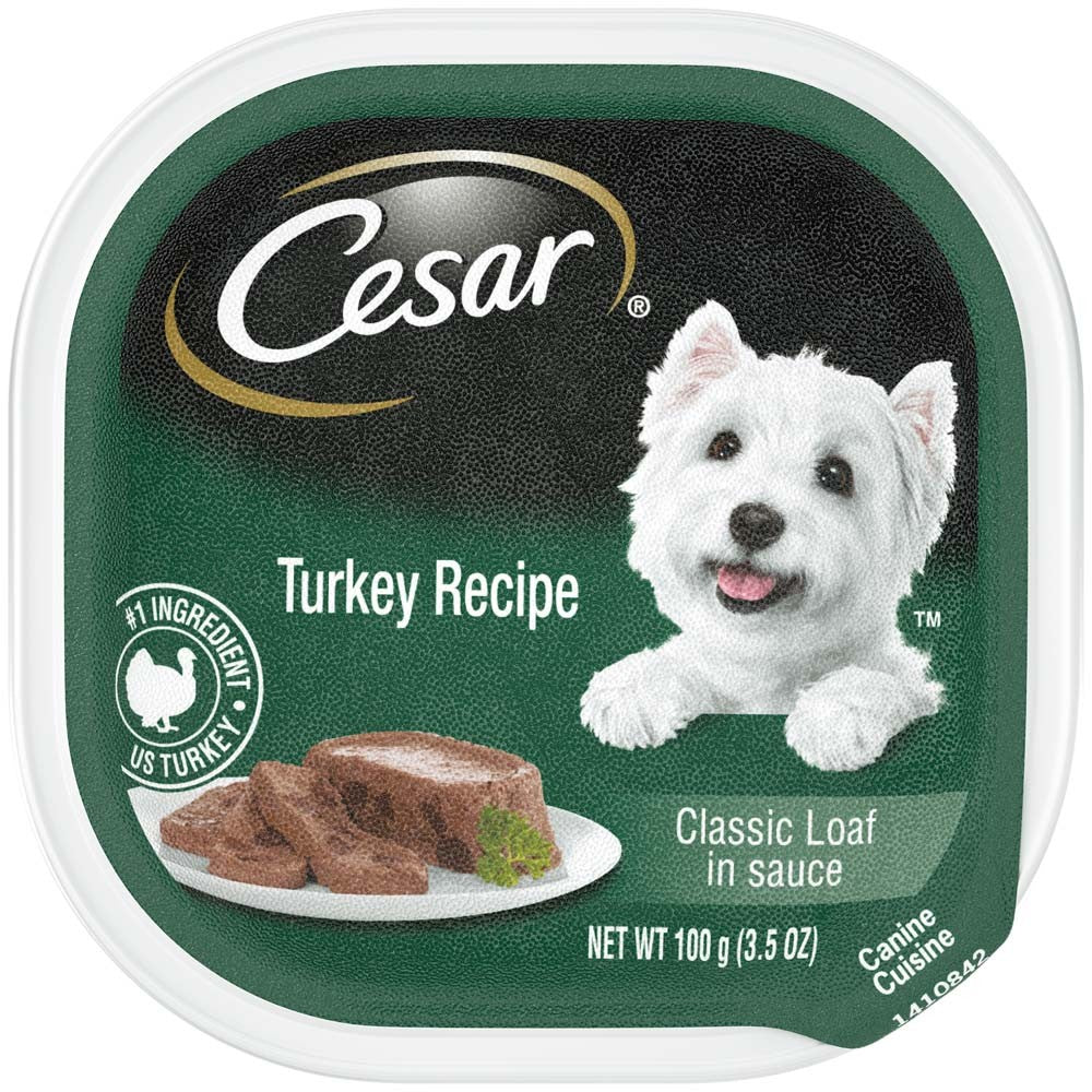 Cesar Classic Loaf in Sauce Adult Wet Dog Food Turkey (Case of 24)