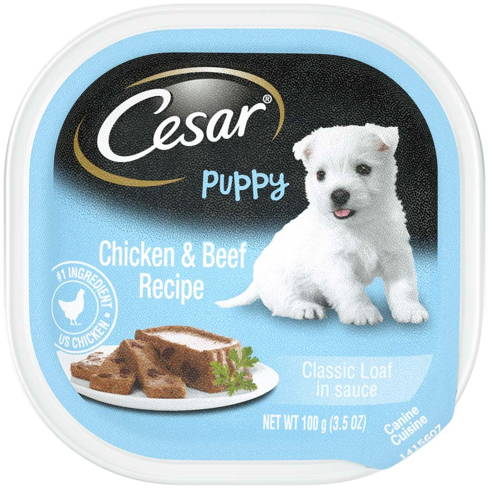 Cesar Classic Loaf in Sauce Puppy Wet Dog Food Chicken & Beef (Case of 24)
