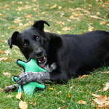 KONG Ballistic Dog Toy Alligator