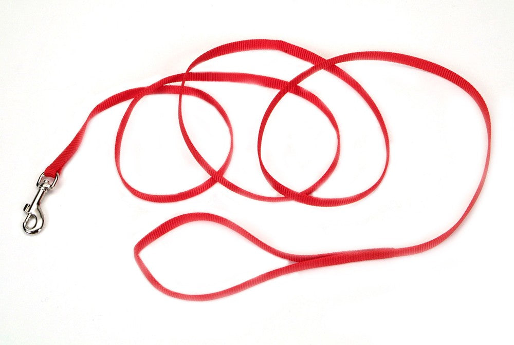 Coastal Single-Ply Nylon Dog Leash Red 3/8 In X 6 ft