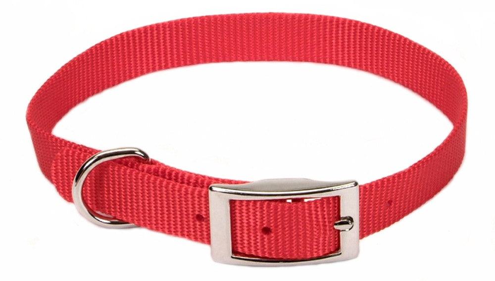 Coastal Single-Ply Nylon Dog Collar Red 5/8 In X 14 in