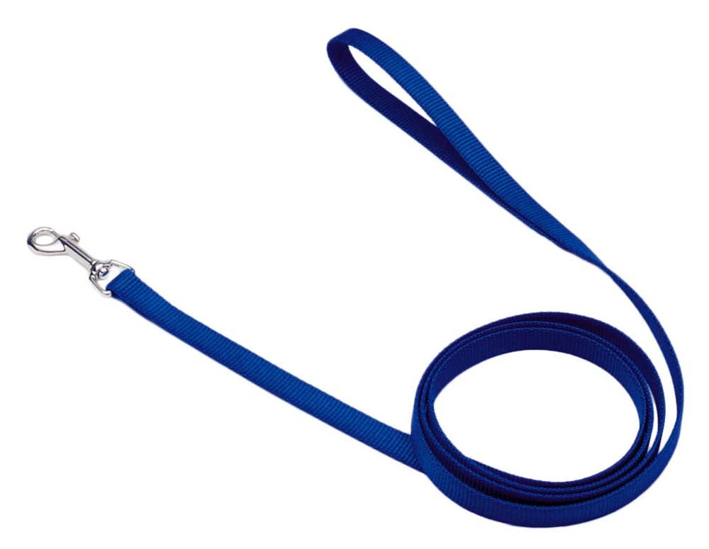 Coastal Single-Ply Nylon Dog Leash Blue 5/8 In X 6 ft