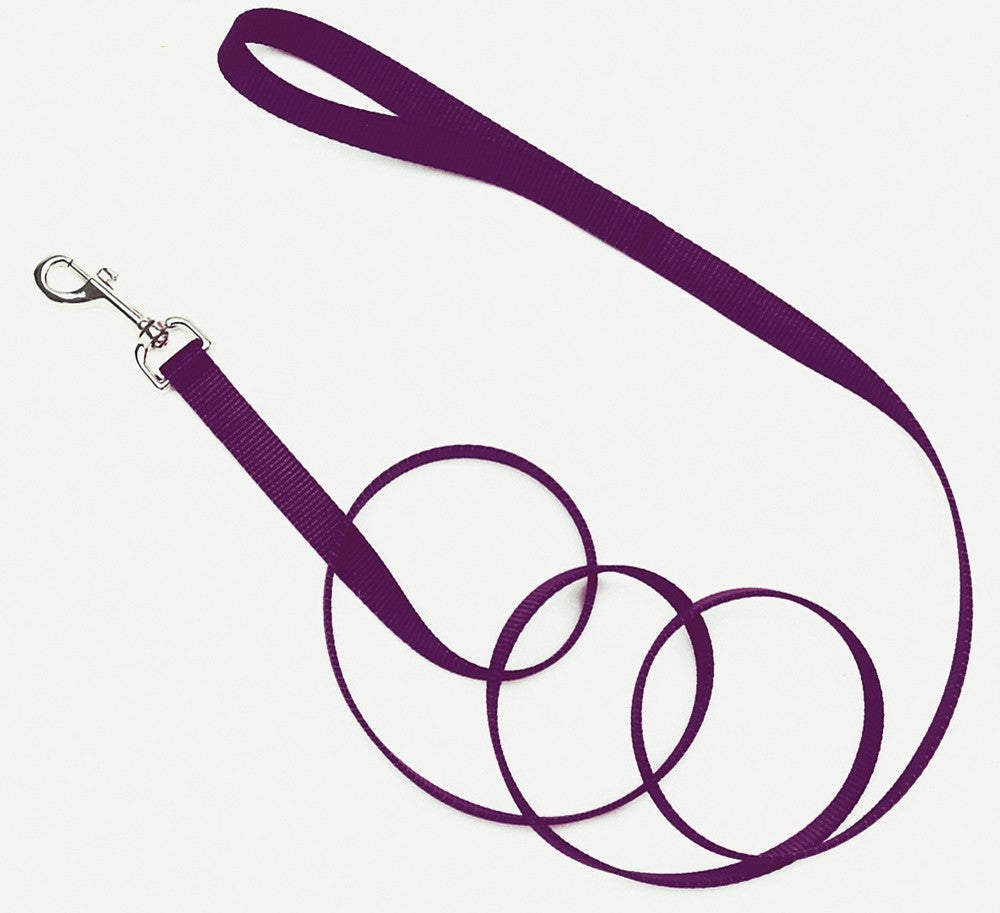 Coastal Single-Ply Nylon Dog Leash Purple 5/8 In X 6 ft