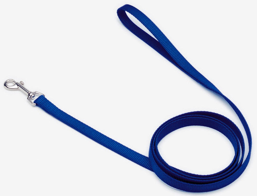 Coastal Single-Ply Nylon Dog Leash Blue 3/4 In X 6 ft