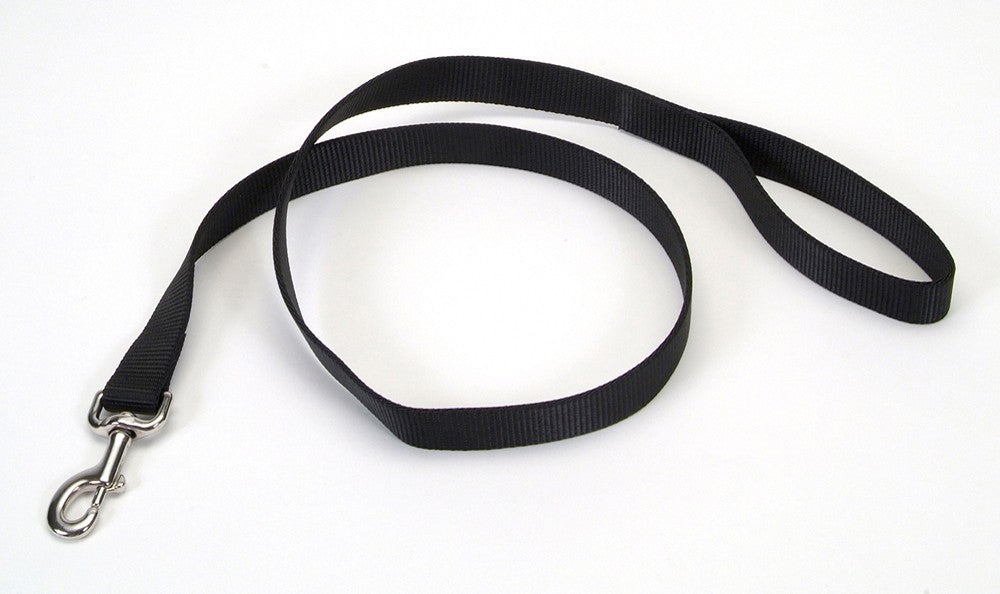 Coastal Single-Ply Nylon Dog Leash Black 1 In X 6 ft