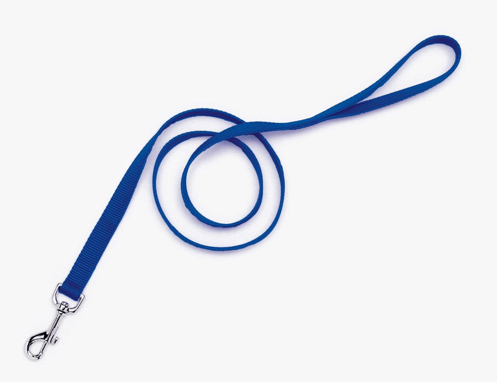 Coastal Single-Ply Nylon Dog Leash Blue 1 In X 6 ft