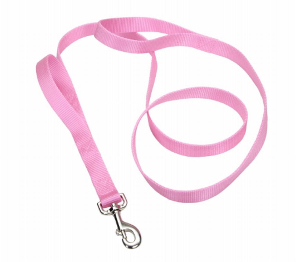 Coastal Single-Ply Nylon Leash Bright Pink 1X6Ft