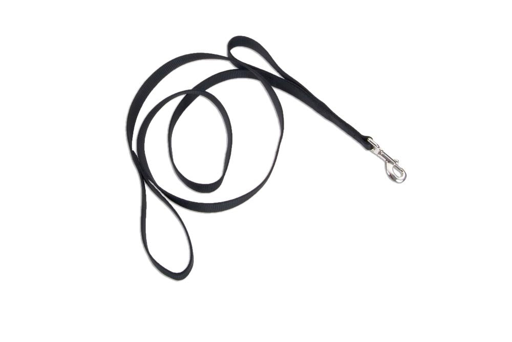 Loops 2 Double Handle Nylon Dog Leash Black 1 In X 6 ft