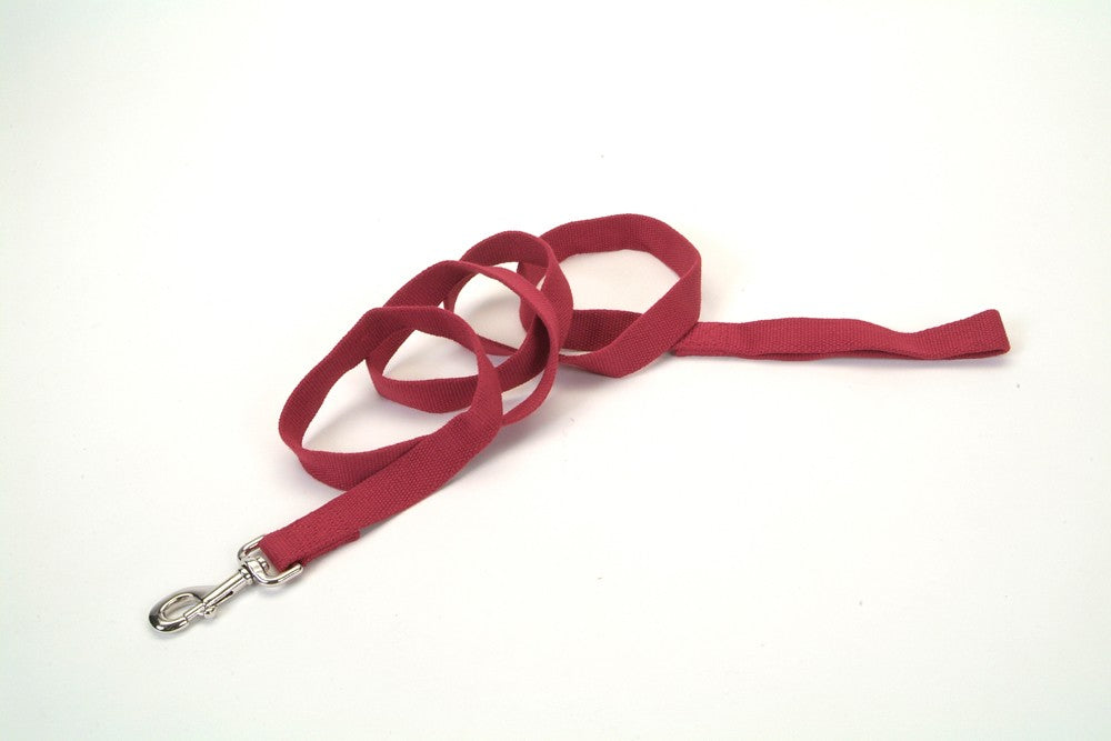 New Earth Soy Dog Leash Cranberry 5/8 In X 6 ft.