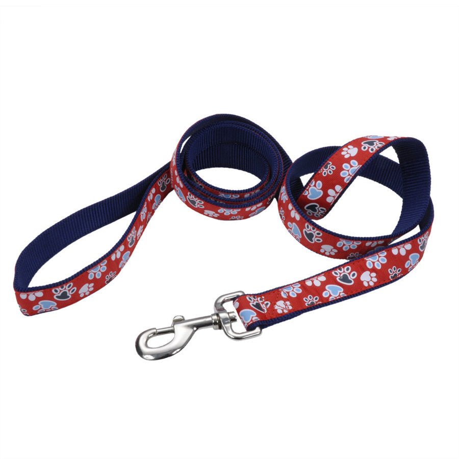 Ribbon Nylon Dog Leash Red 1 In X 6 ft.