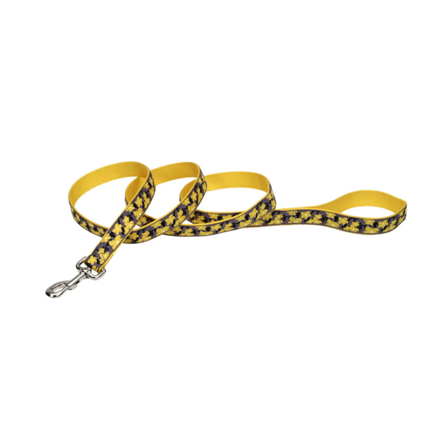 Ribbon Nylon Dog Leash Yellow 1 In X 6 ft