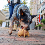 Coastal Pet Rascal Grunt Toys Big Head Bull