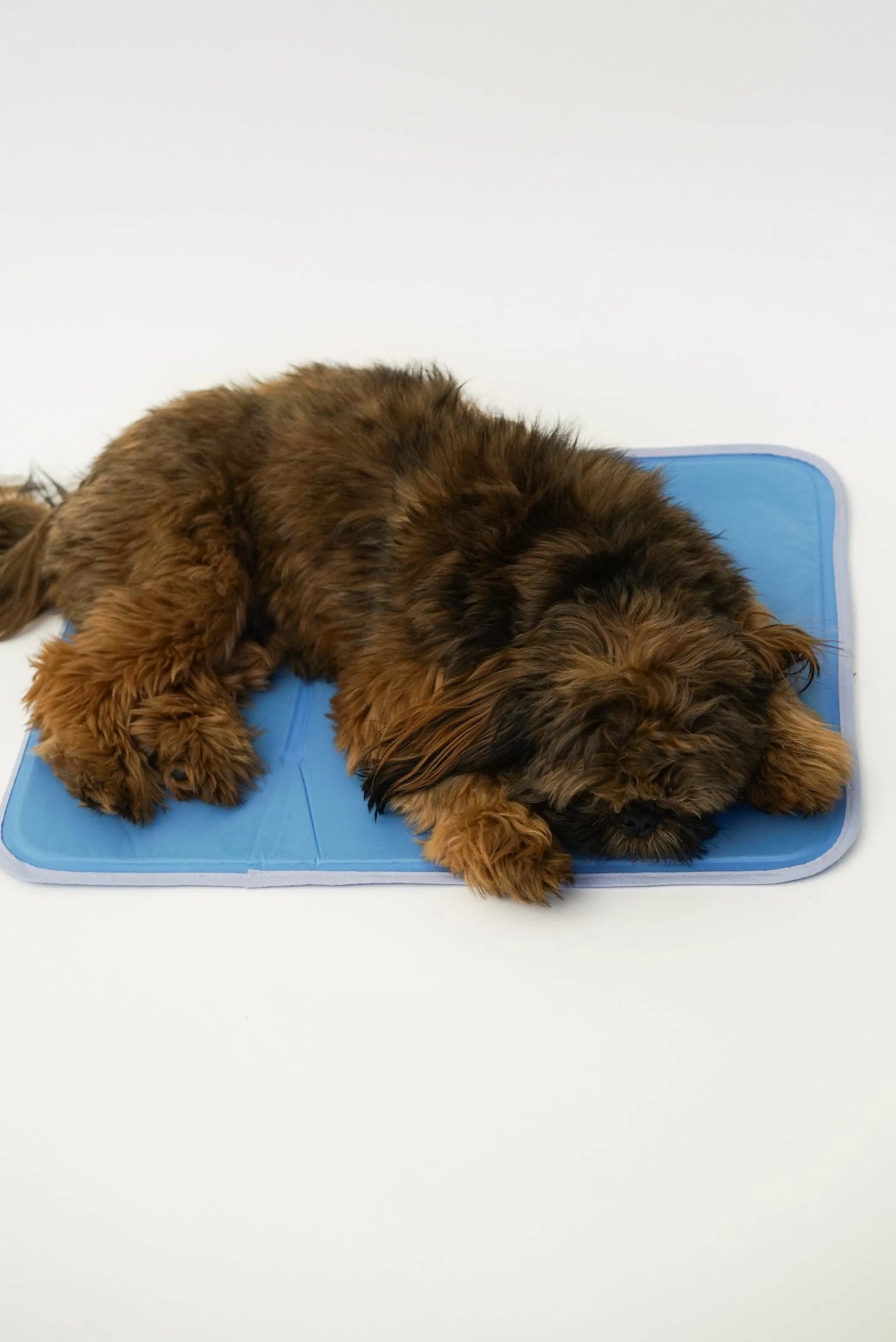 Cool Pet Pad