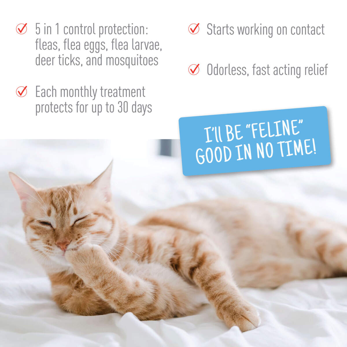 Adams Plus Flea & Tick Spot On for Cats & Kittens Over 5 lb