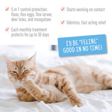 Adams Plus Flea & Tick Spot On for Cats & Kittens Over 5 lb
