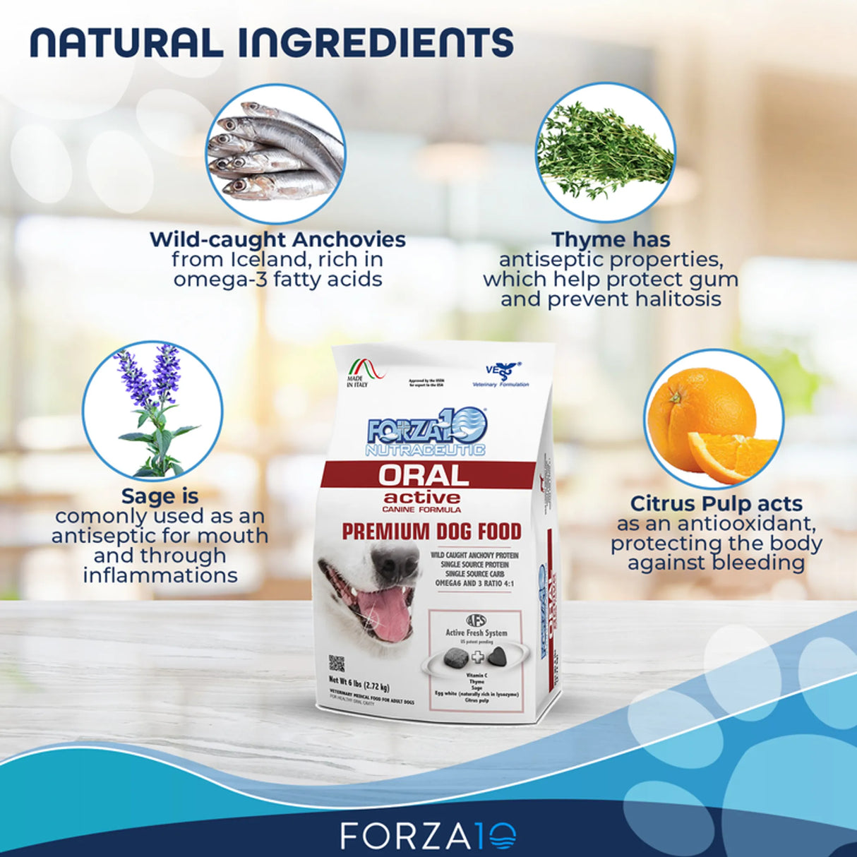 Forza10 Active Oral Support Diet Dry Dog Food