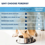 Forza10 Maintenance Evolution Lamb Dry Dog Food