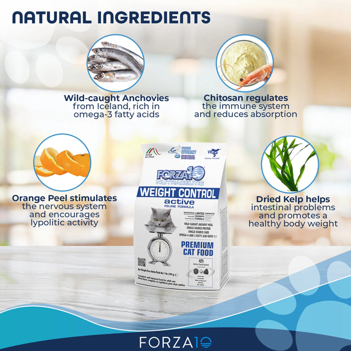 Forza10 Active Weight Control Diet Dry Cat Food