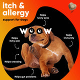 Dr Woow Allergy and Immunity Soft Chews