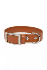 Sierra Sunrise Vegan Leather Dog Collar