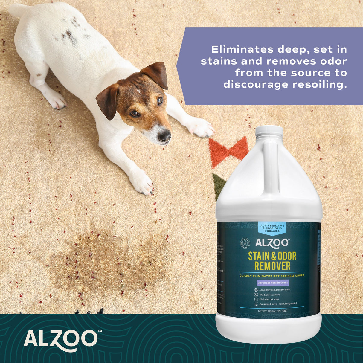 Alzoo Stain & Odor Remover Lavender Vanilla 1 gal.