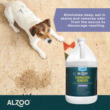 Alzoo Stain & Odor Remover Lavender Vanilla 1 gal.
