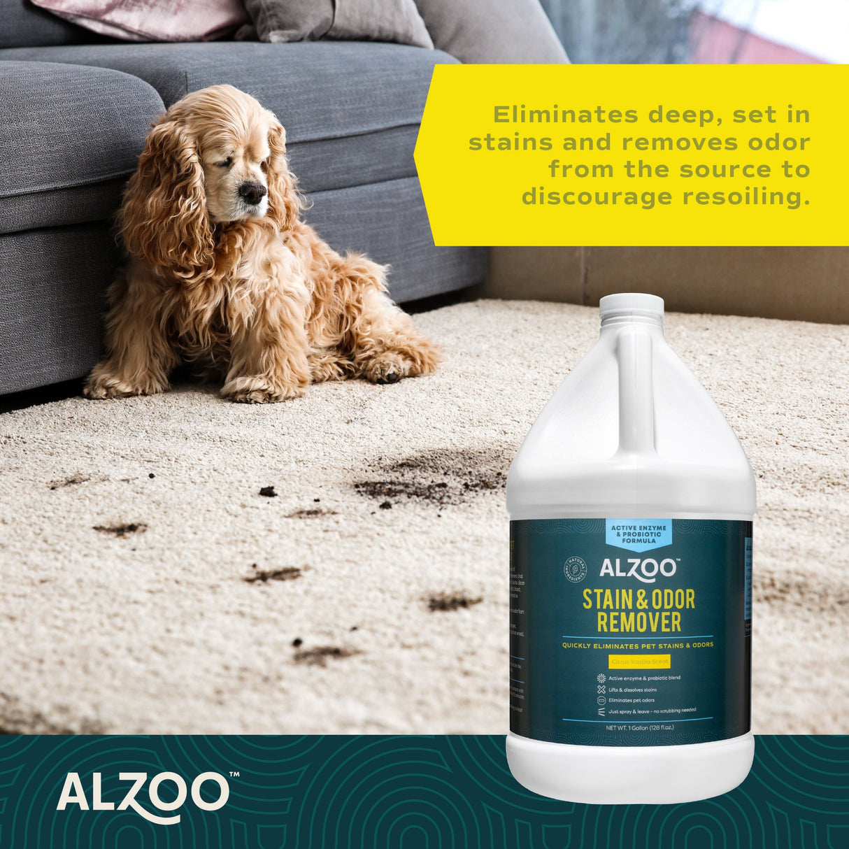 Alzoo Stain & Odor Remover Citrus Vanilla 1 gal.