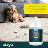 Alzoo Stain & Odor Remover Citrus Vanilla 1 gal.