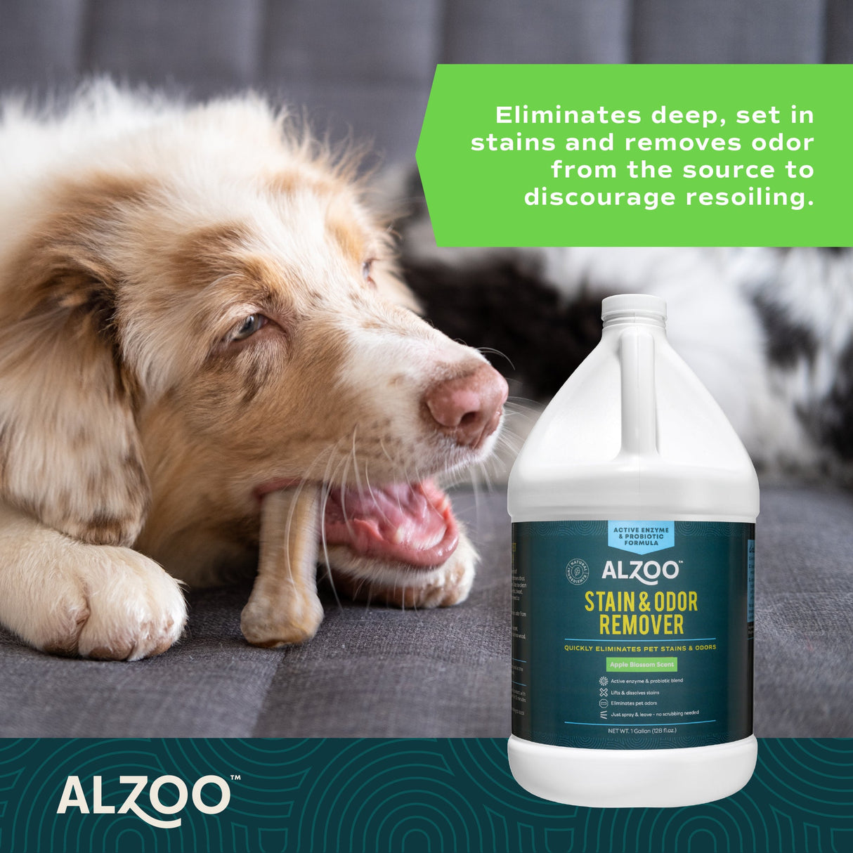 Alzoo Stain & Odor Remover Apple Blossom 1 gal.