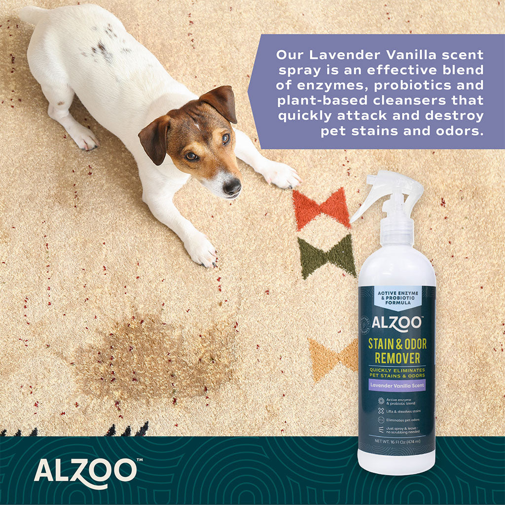 Alzoo Stain & Odor Remover Spray Lavender Vanilla 16oz.