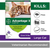 Advantage II Cat Large Purple 6-Pack (Case of 6) 9 lbs +