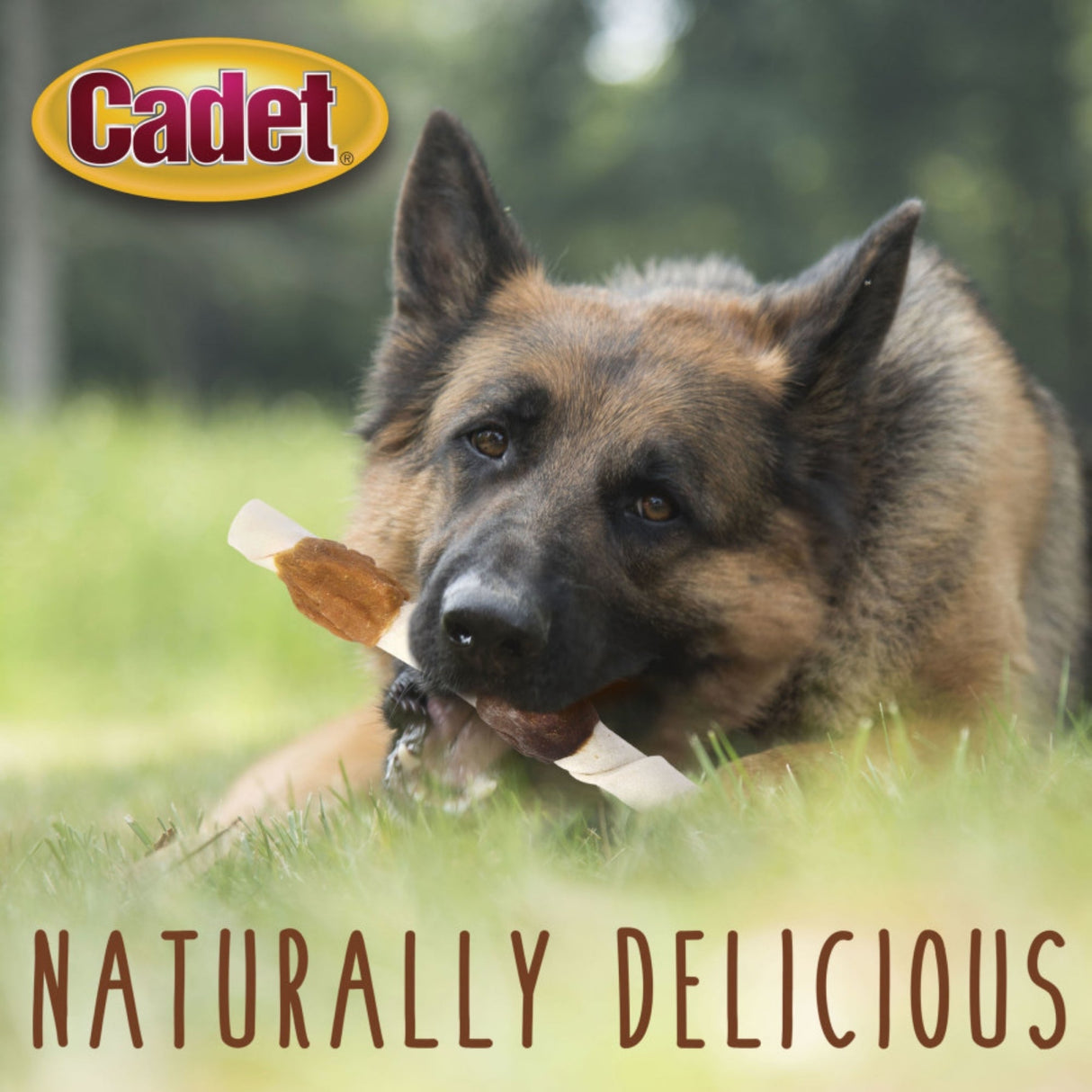 Cadet Gourmet Beef Hide Shish Kabob Dog Treats X-Large, Chicken, Chicken Liver & Sweet Potato, (15 ct)
