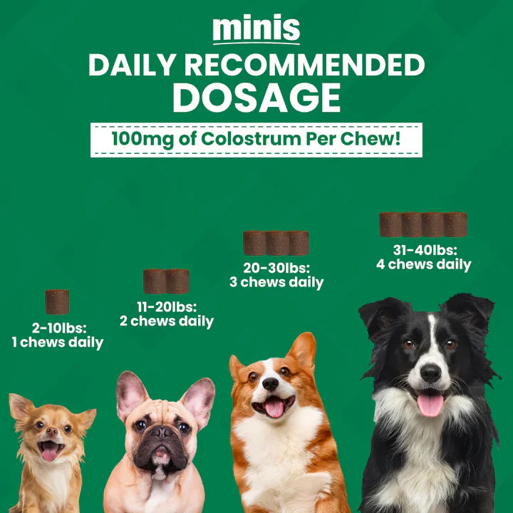 Nootie Dog Progility Aller-Immune Mini 60 Ct