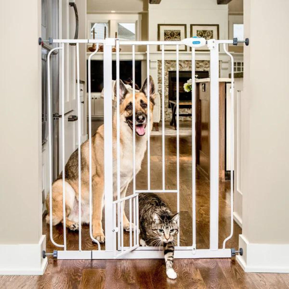 Carlson Expandable Extra Tall Gate with Slide Handle White 29-52 X 41in.