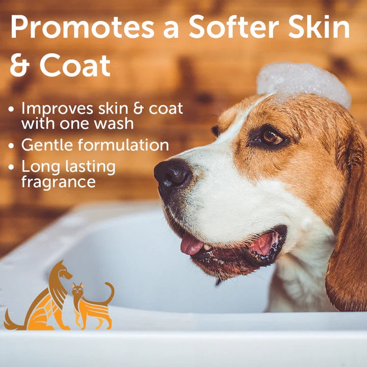 Nootie Dog Shampoo Warm Vanilla Cookie 16 Oz.