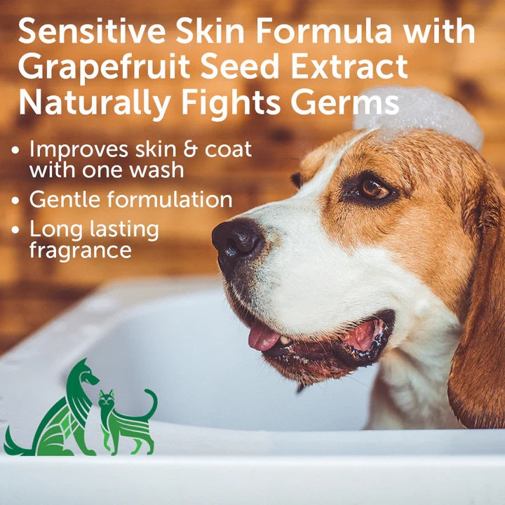 Nootie Dog Shampoo Coconut Lime Verbena 16 Oz.