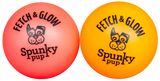 Fetch & Glow Ball